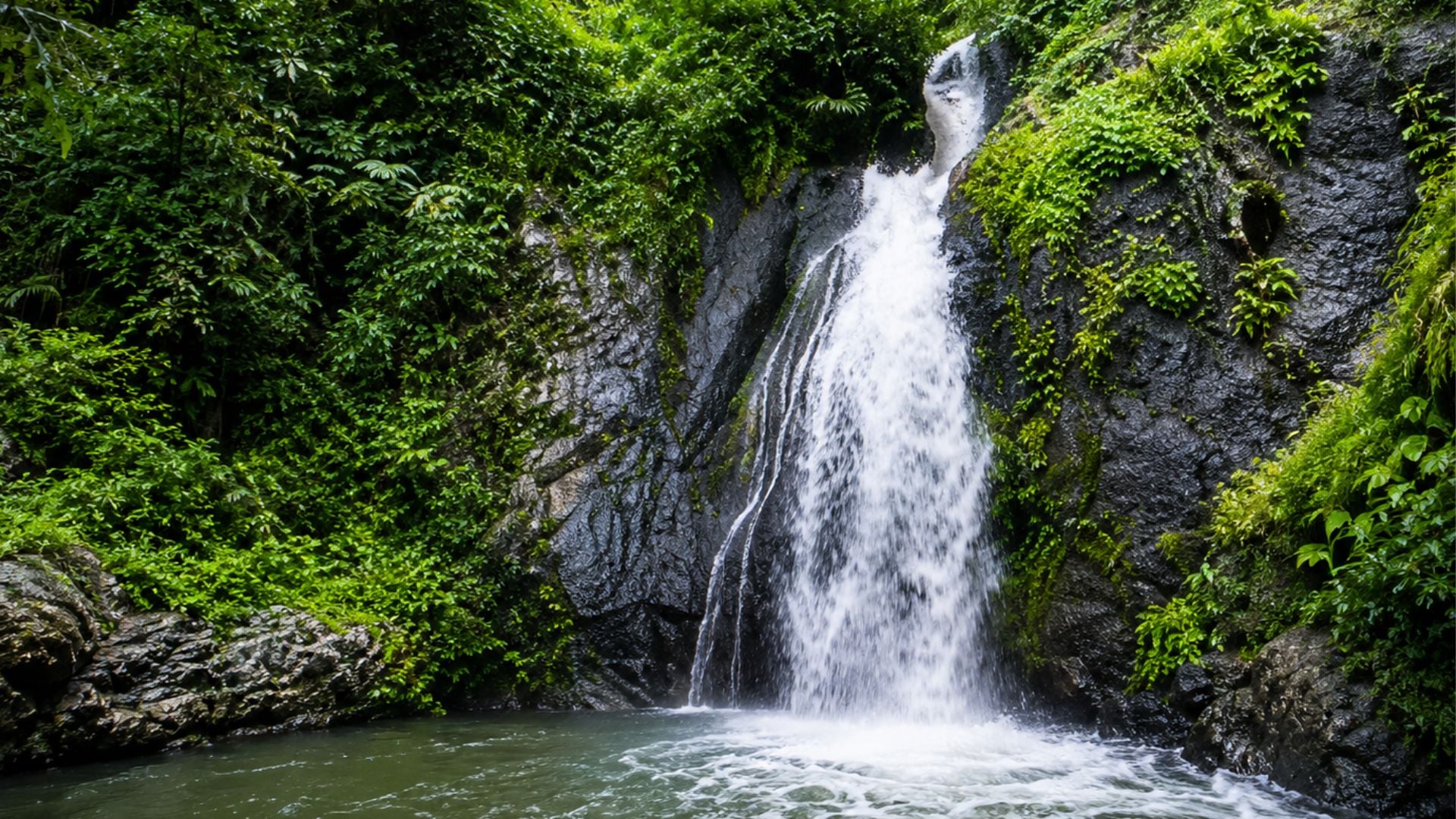 Photo of Air terjun kalibanteng