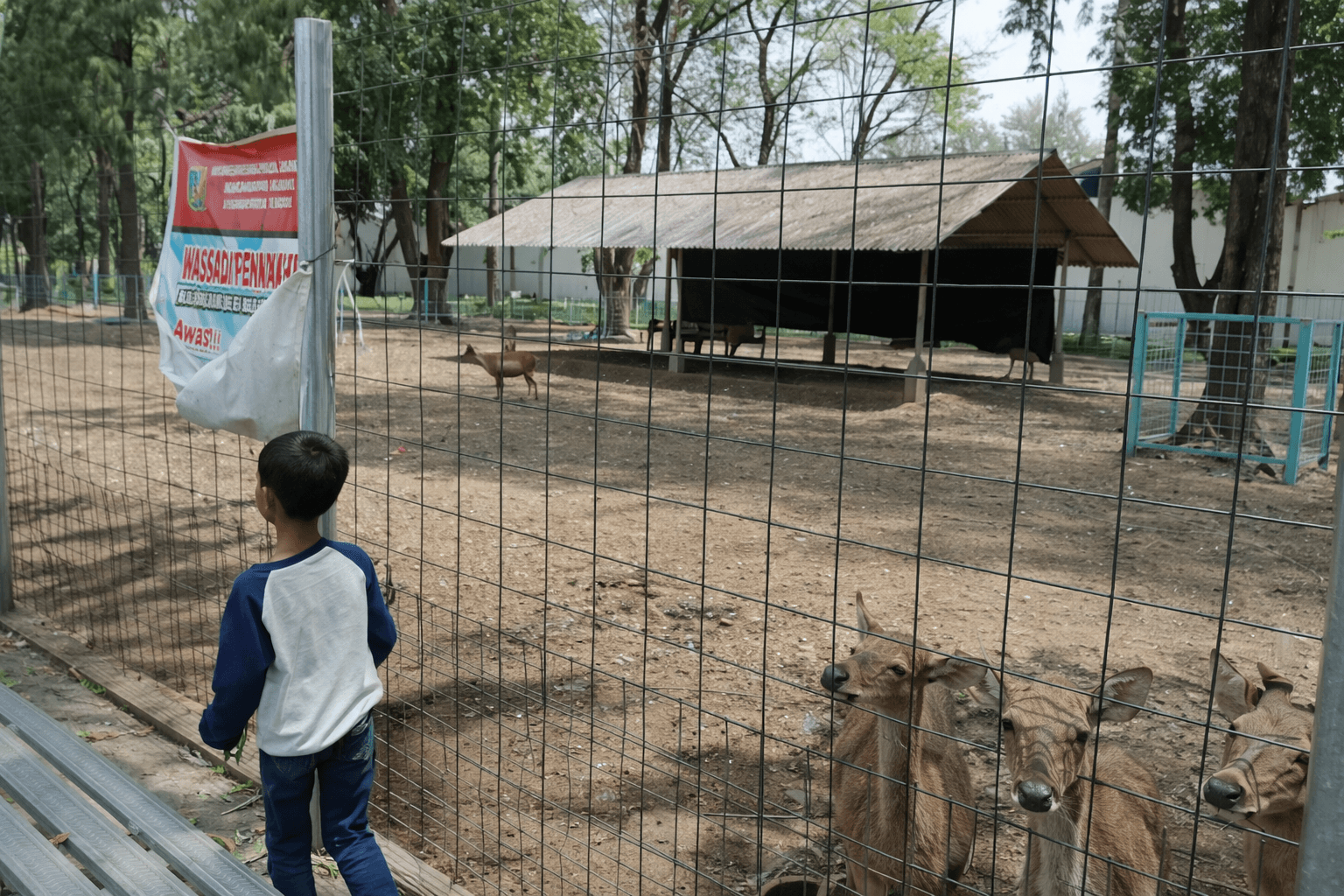 Photo of Kidangan Mini Zoo