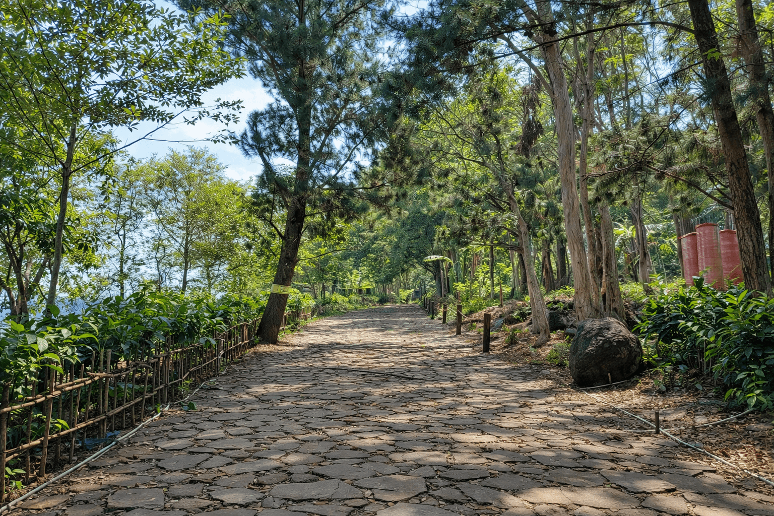 Photo of Wana Wisata Pinus Kajar