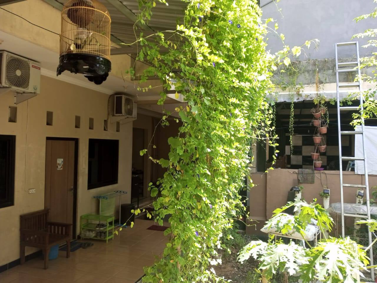Photo of Naga Homestay