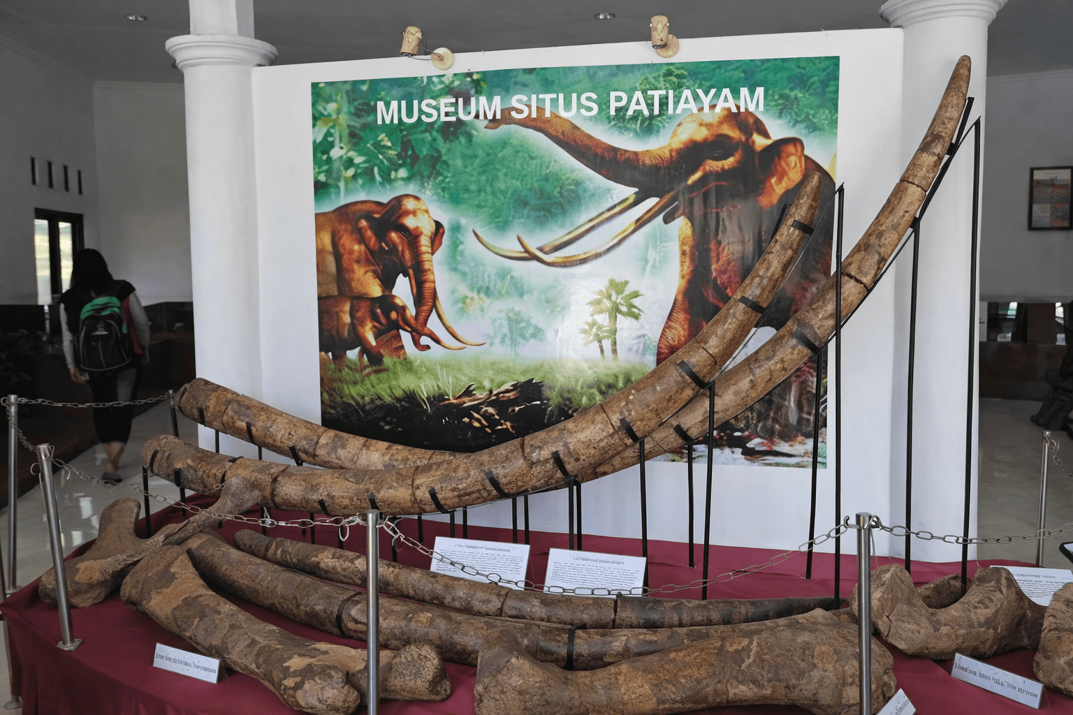 Photo of Museum Situs Purbakala Patiayam