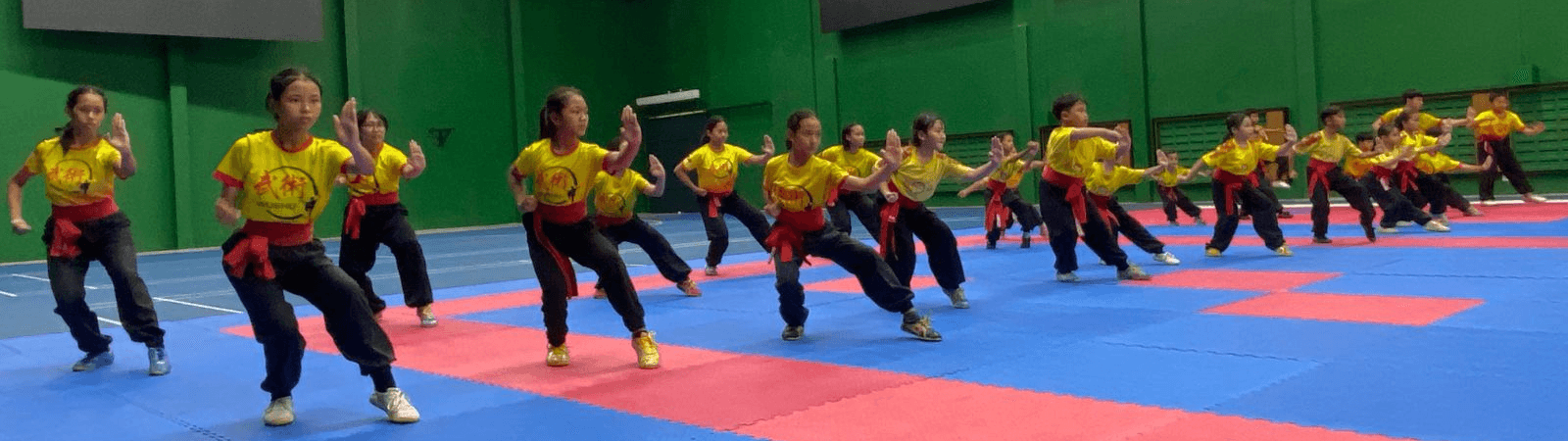 Wushu Kudus Indonesia