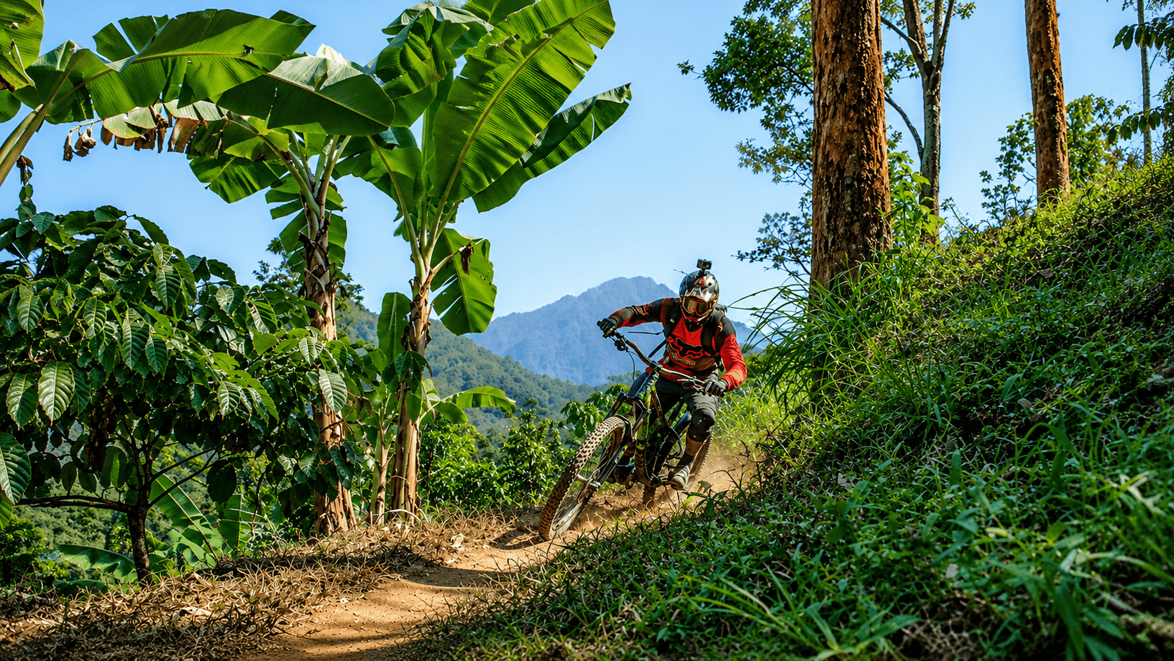 Photo of Ternadi Bike Park